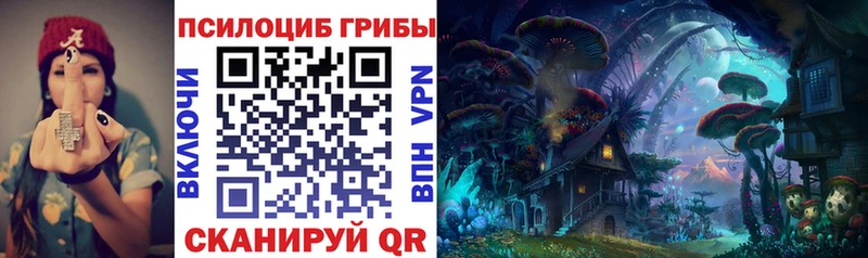 OMG ссылки  хочу наркоту  Обь  Галлюциногенные грибы Cubensis 